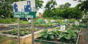 urban garden sustainability tips and tricks